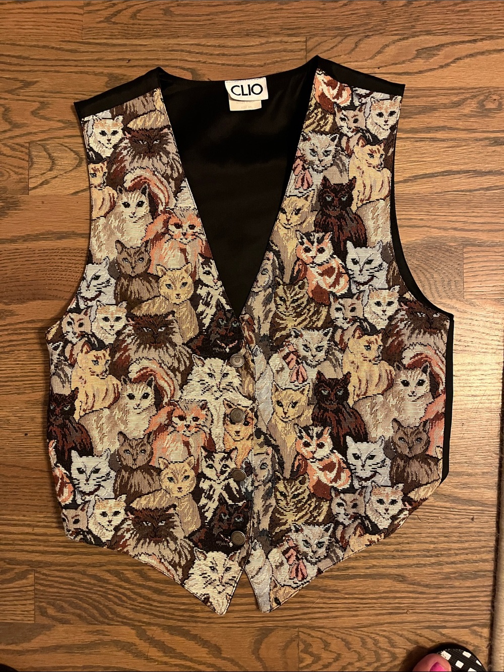 Clio Multicolor Cat Tapestry Vest with Black Trim